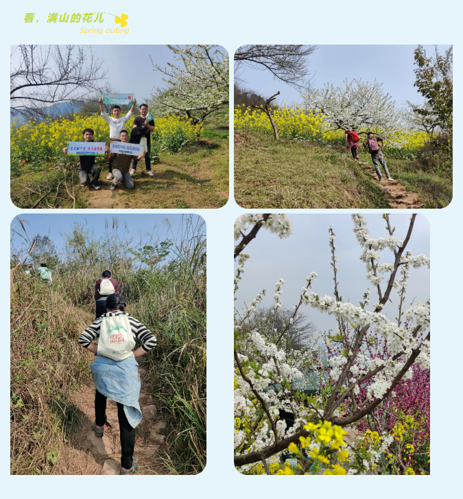 看，滿山的花兒.jpg
